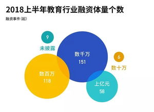 教育行業投融資熱潮中的隱形推手 誰在領跑教育軟件開發賽道？